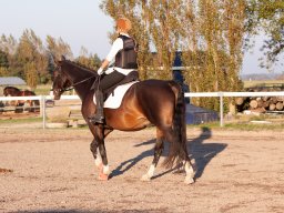 IMG_7719_web